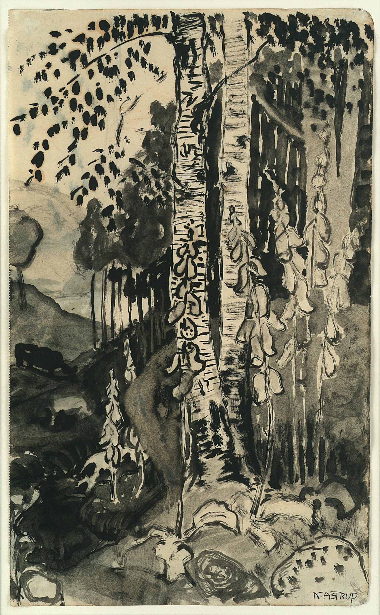 Foxgloves