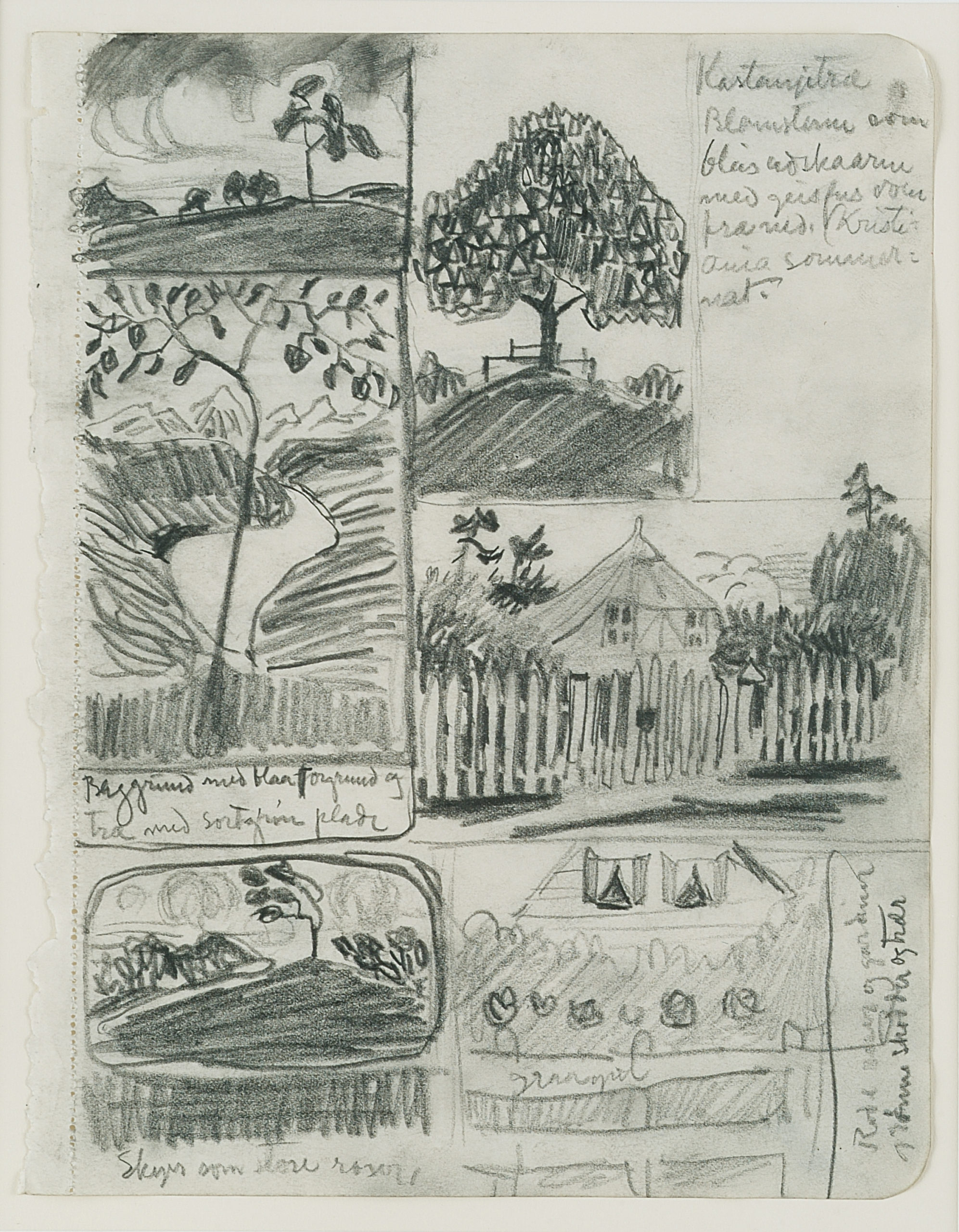Sketch, Chestnut Tree
