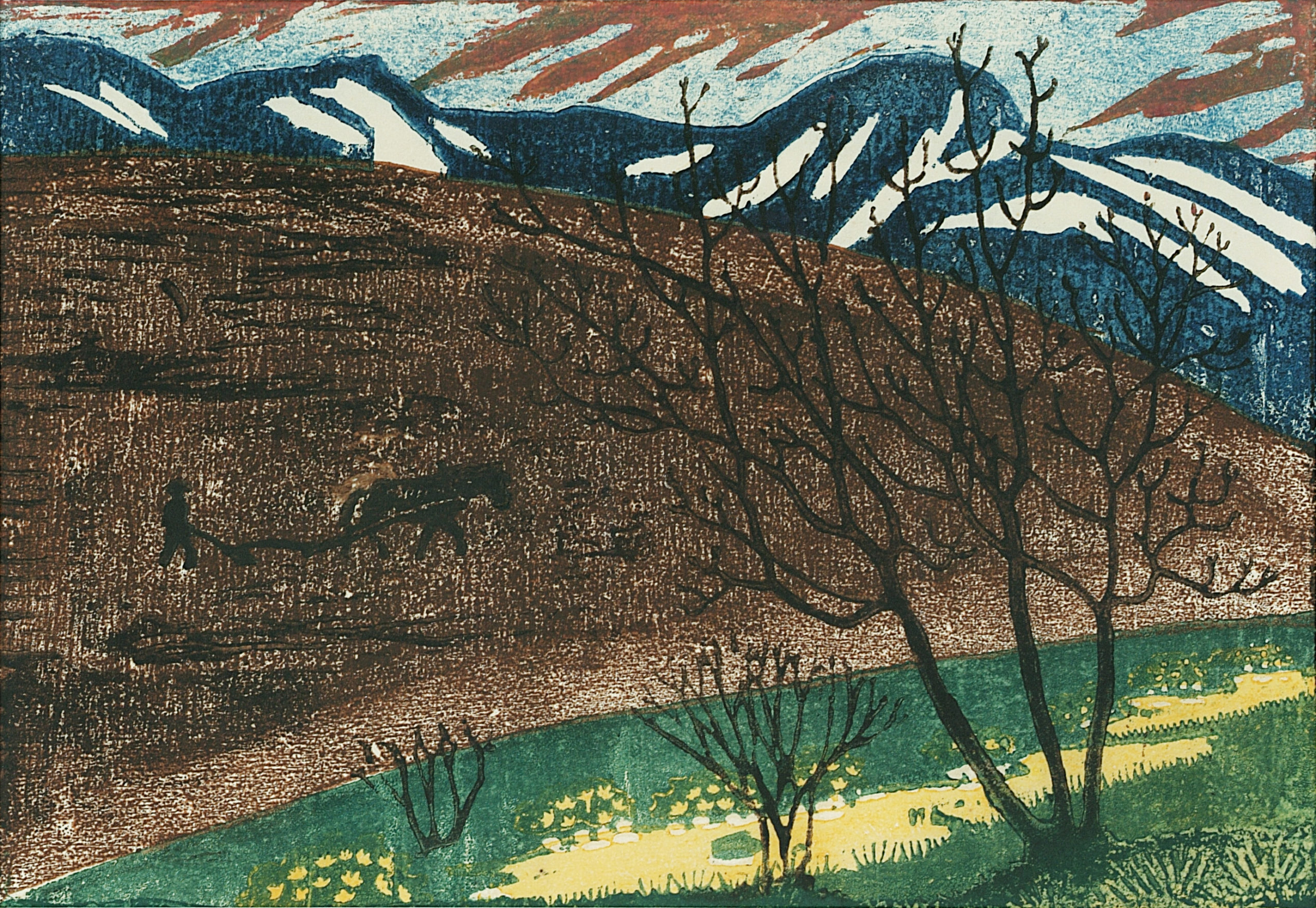 The Plough Night