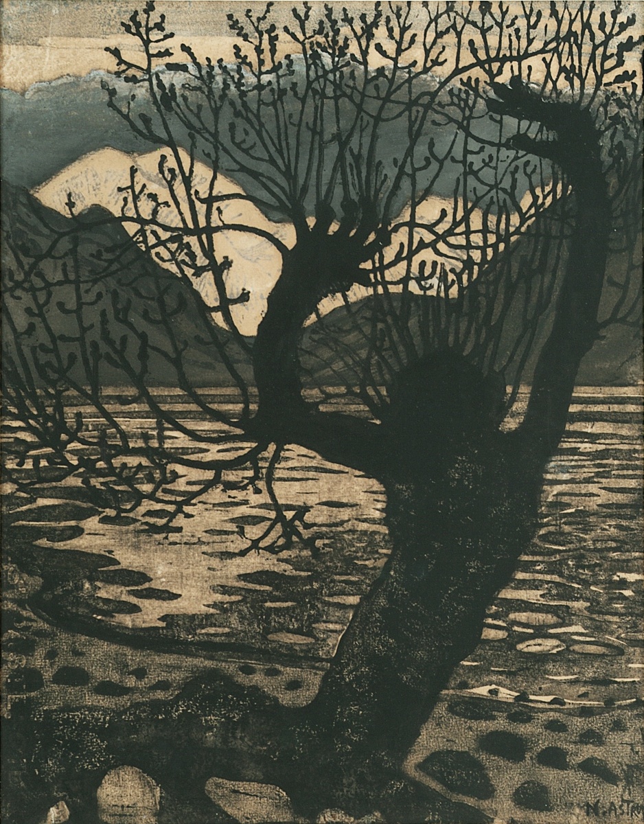 Spring Night and Sallow