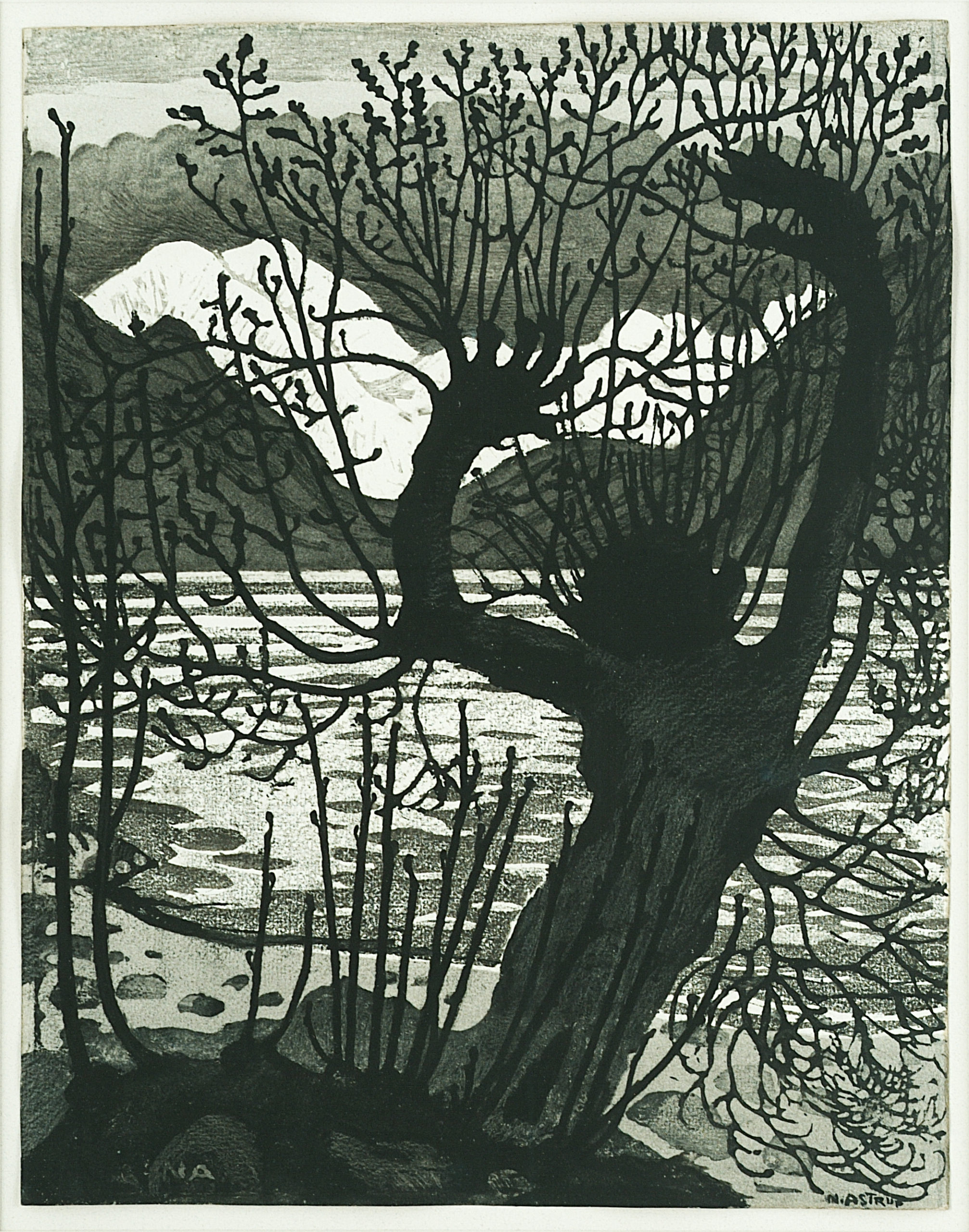 Spring Night and Sallow
