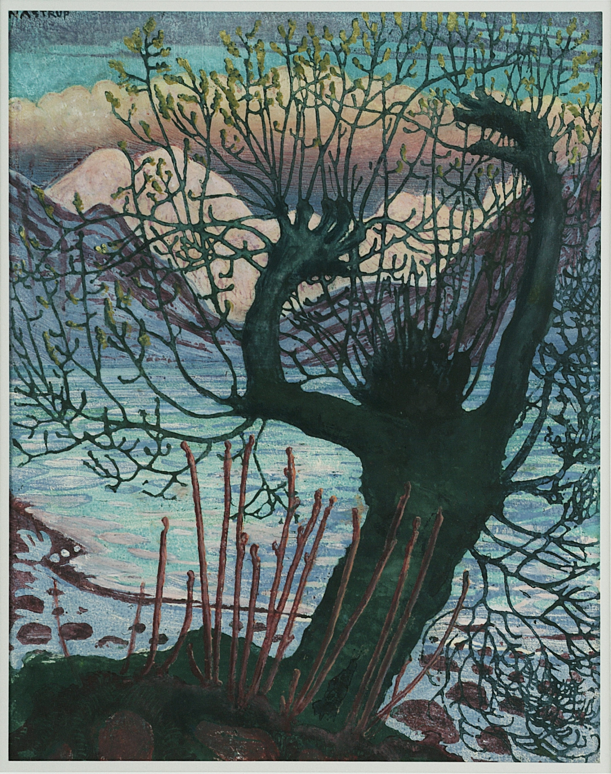 Spring Night and Sallow