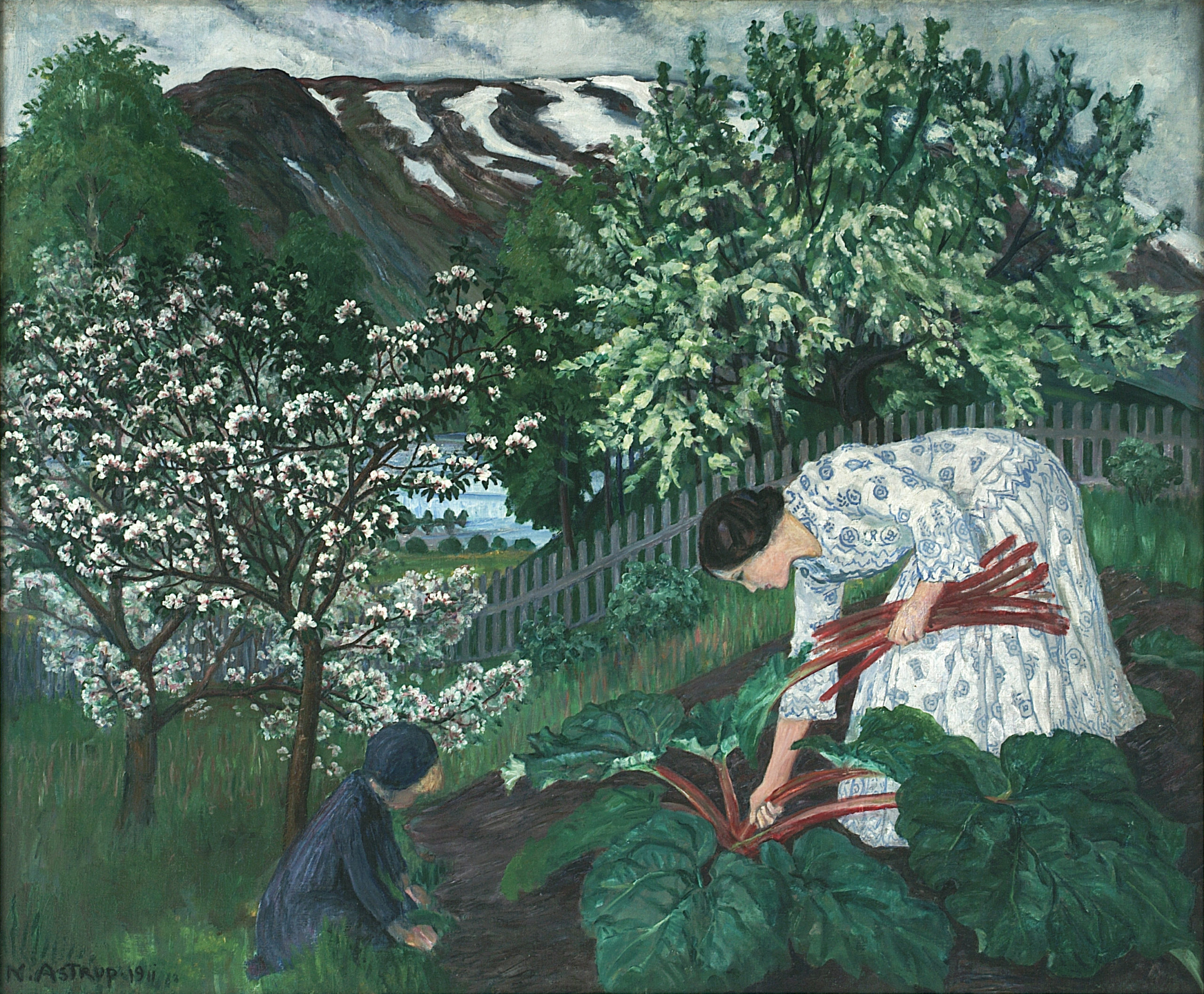 Rhubarb