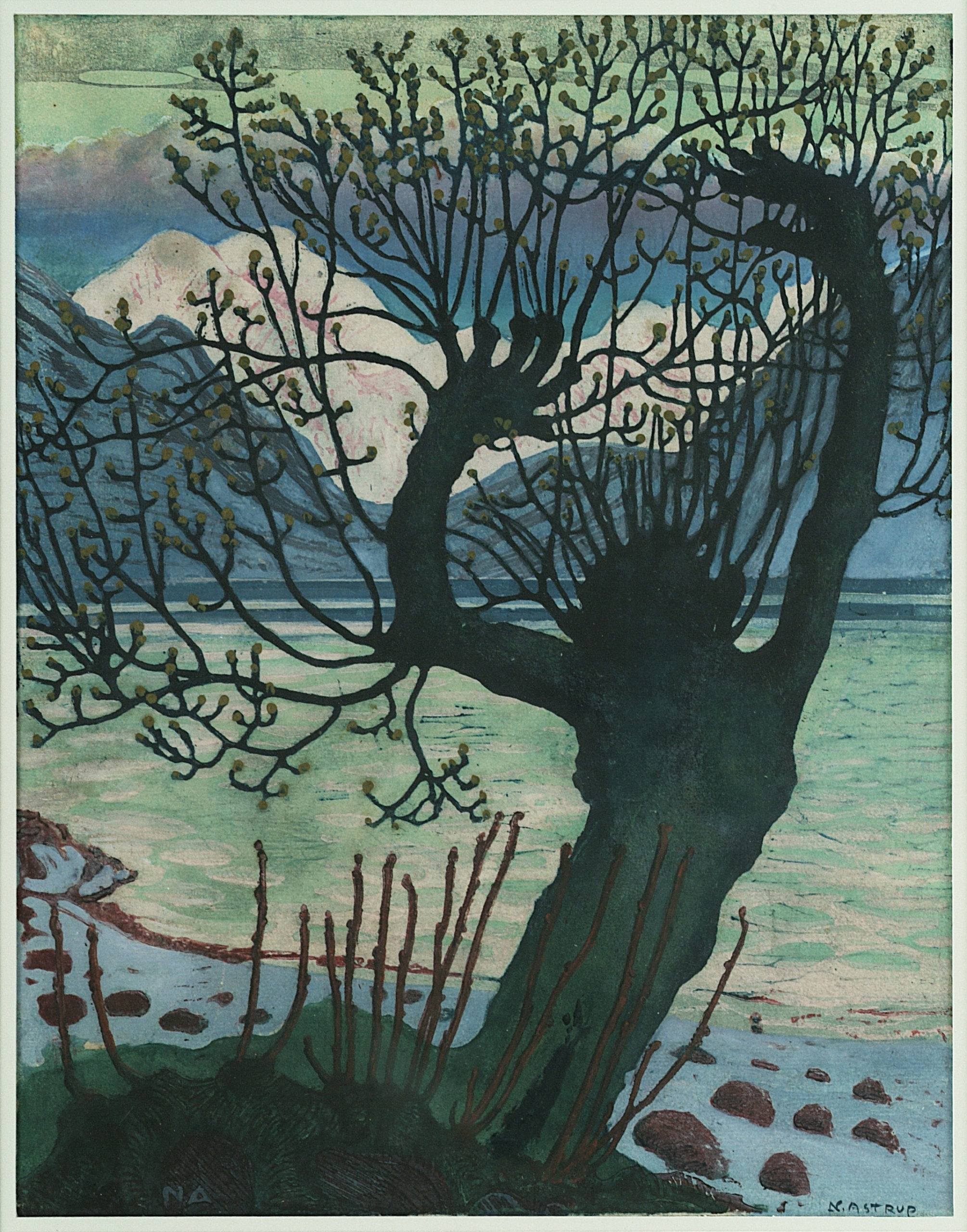 Spring Night and Sallow