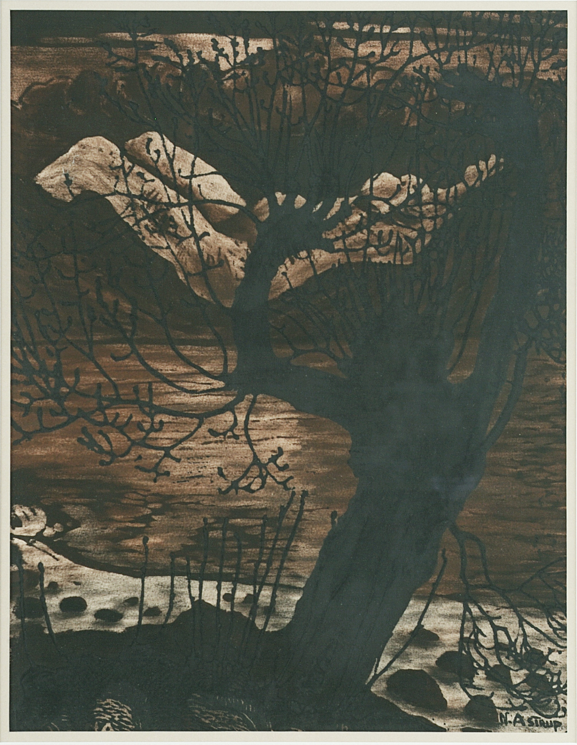 Spring Night and Sallow