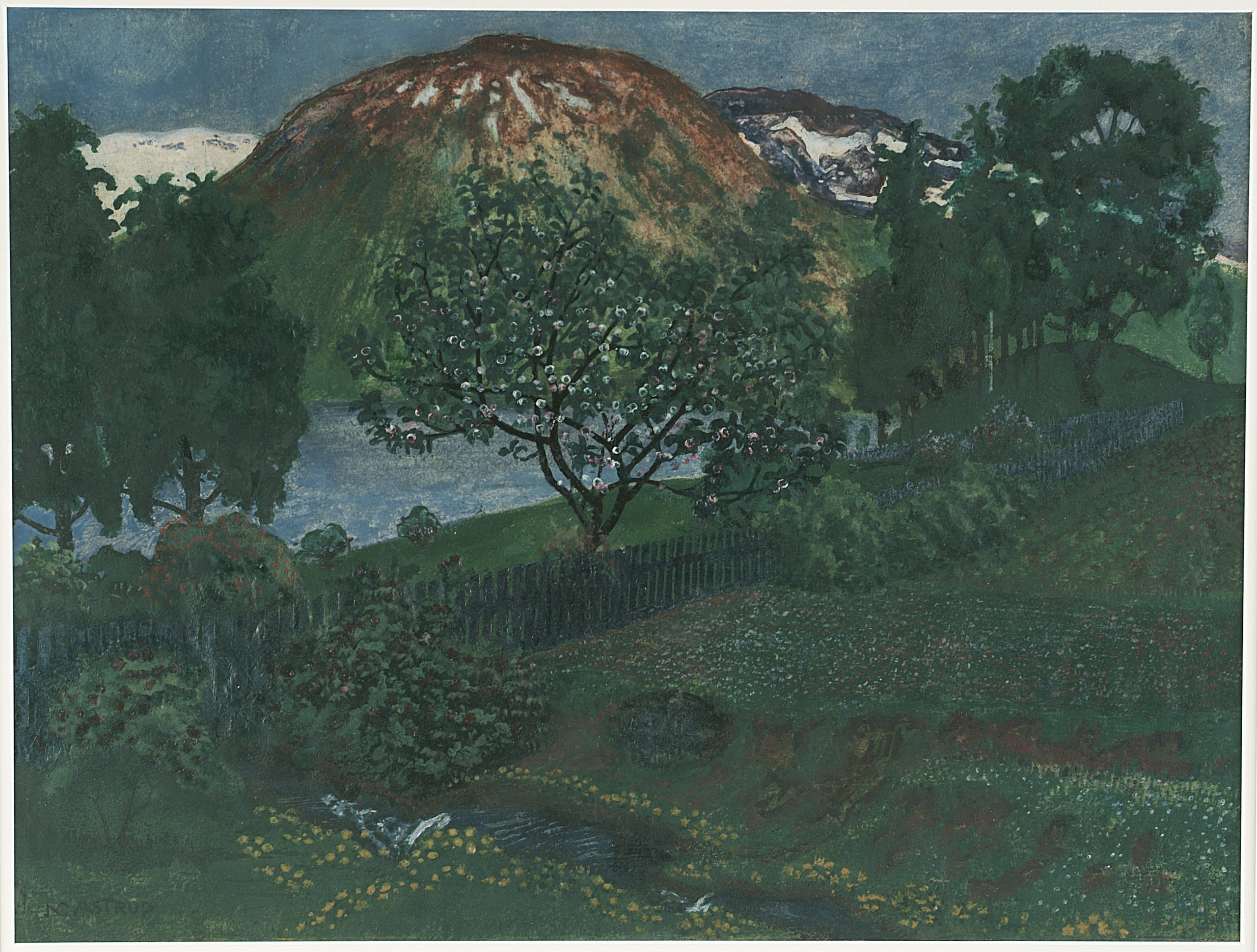 June Night