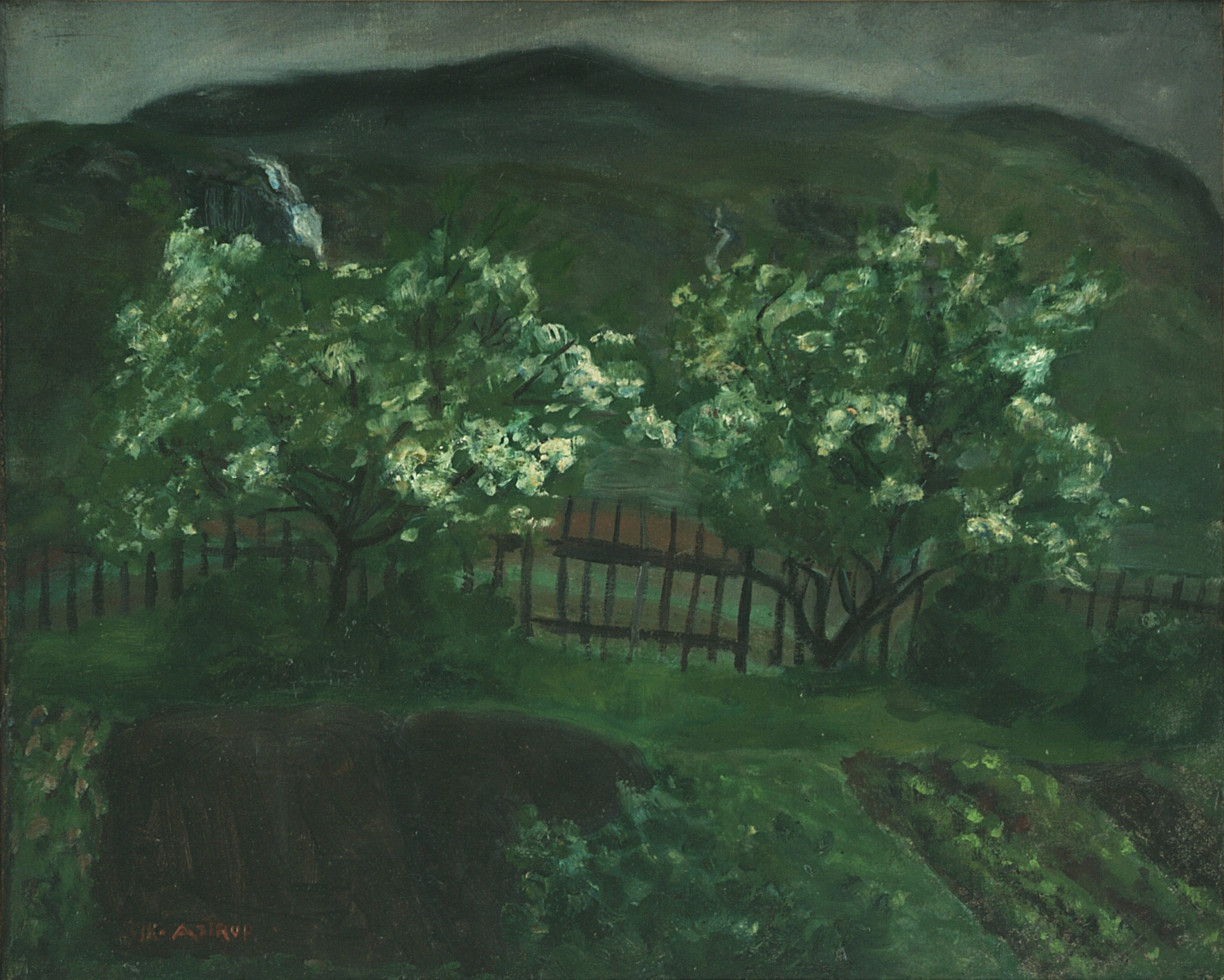 Spring Rain and Cherries