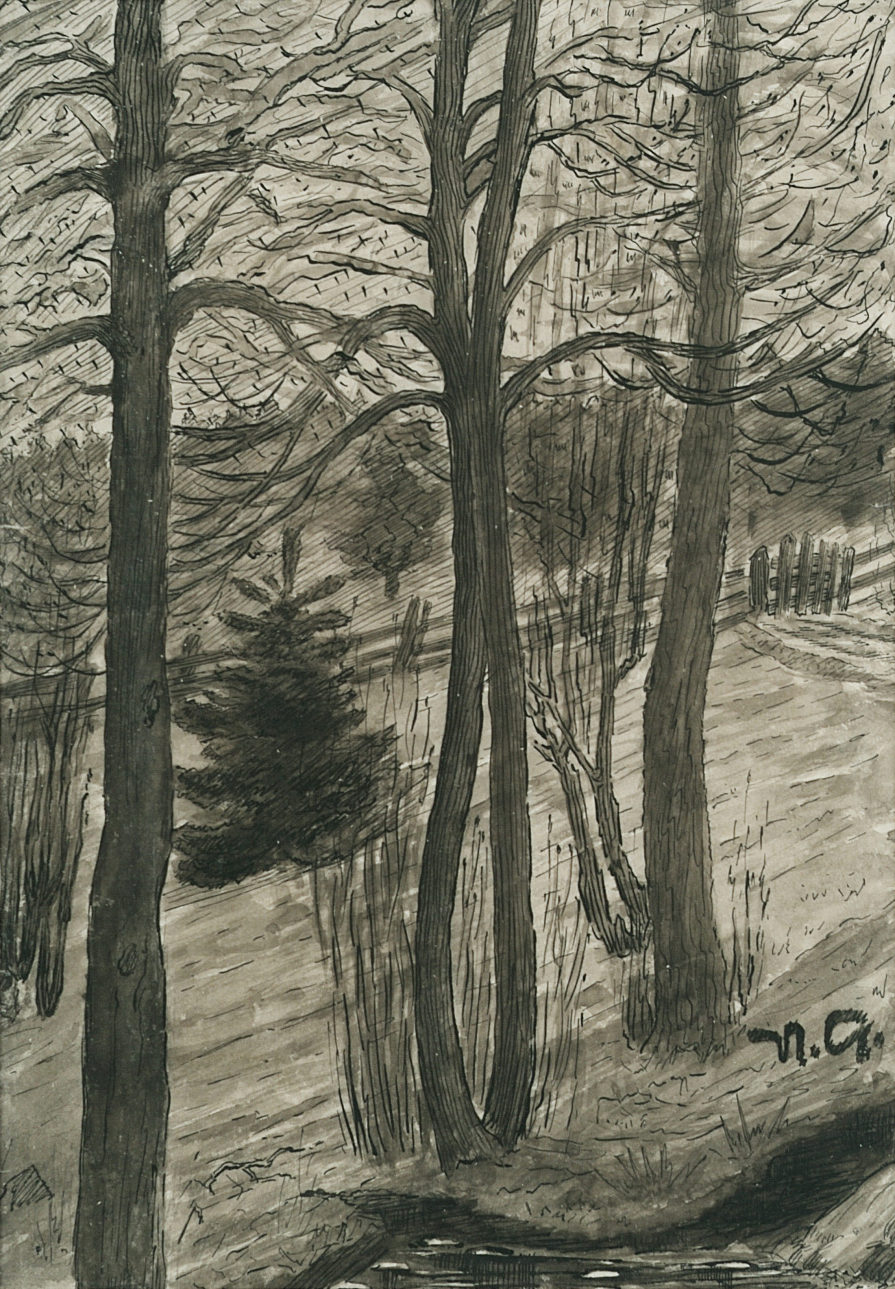 Naked Trees