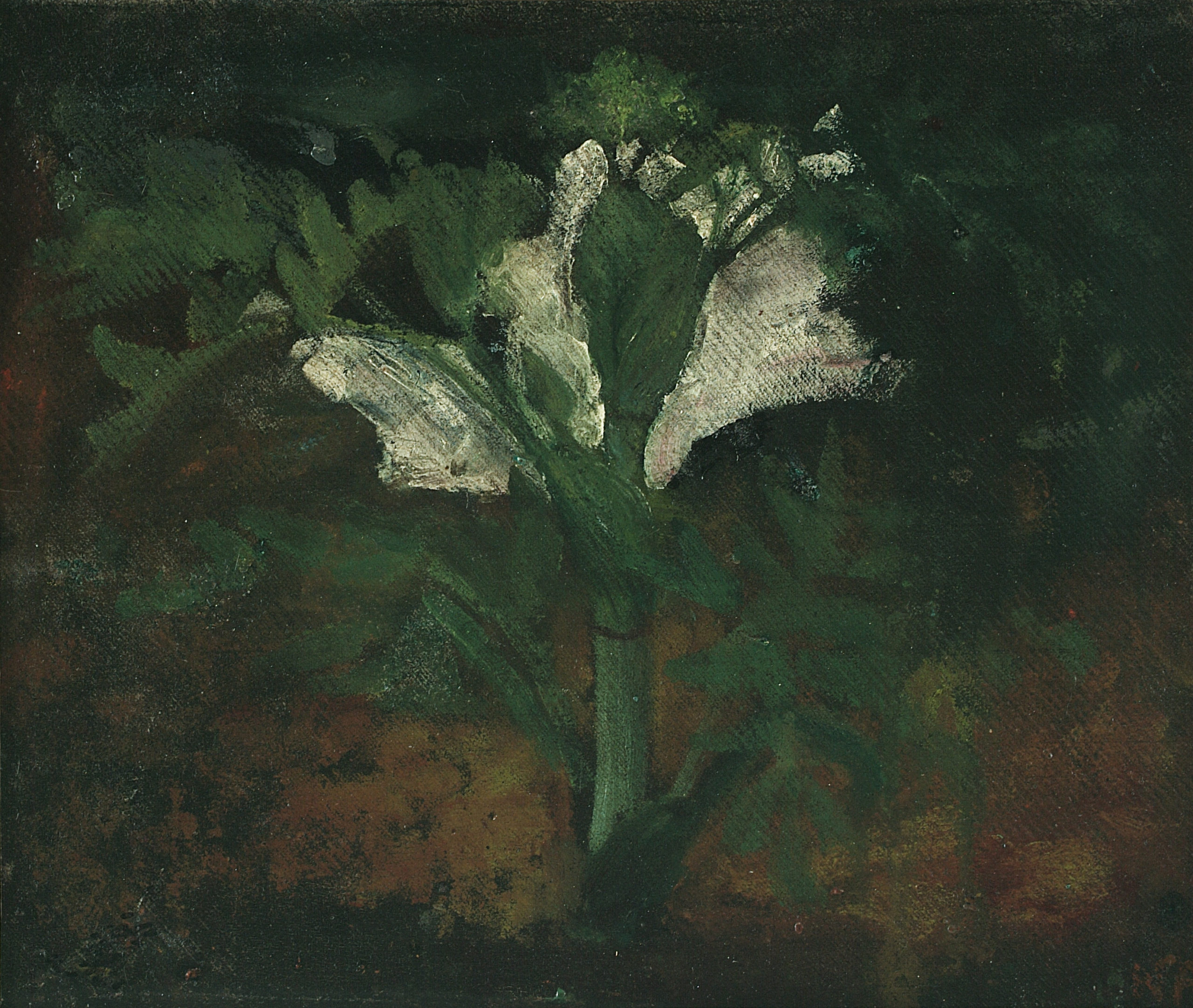 White Flower