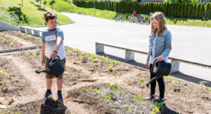 Pollinatorøy i skolegården